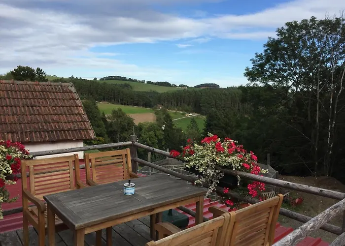 Haflingerhof Luef