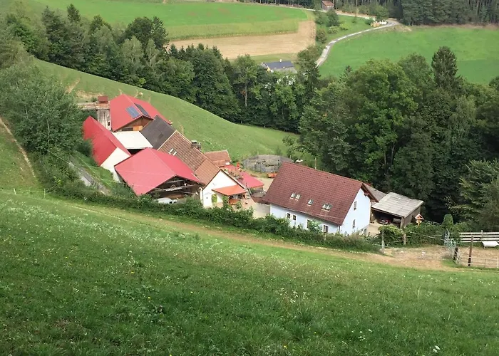 Haflingerhof Luef