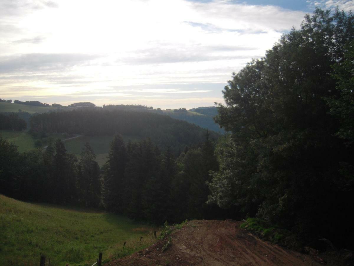 Haflingerhof Luef *