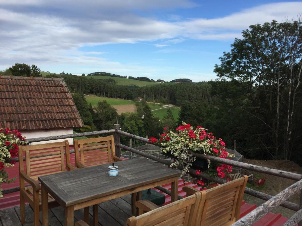 Haflingerhof Luef * Bad Schönau