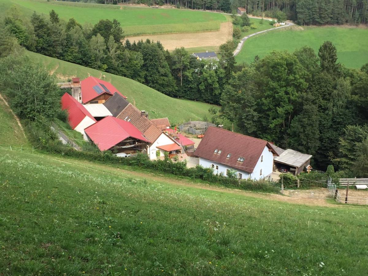 Haflingerhof Luef * Bad Schönau