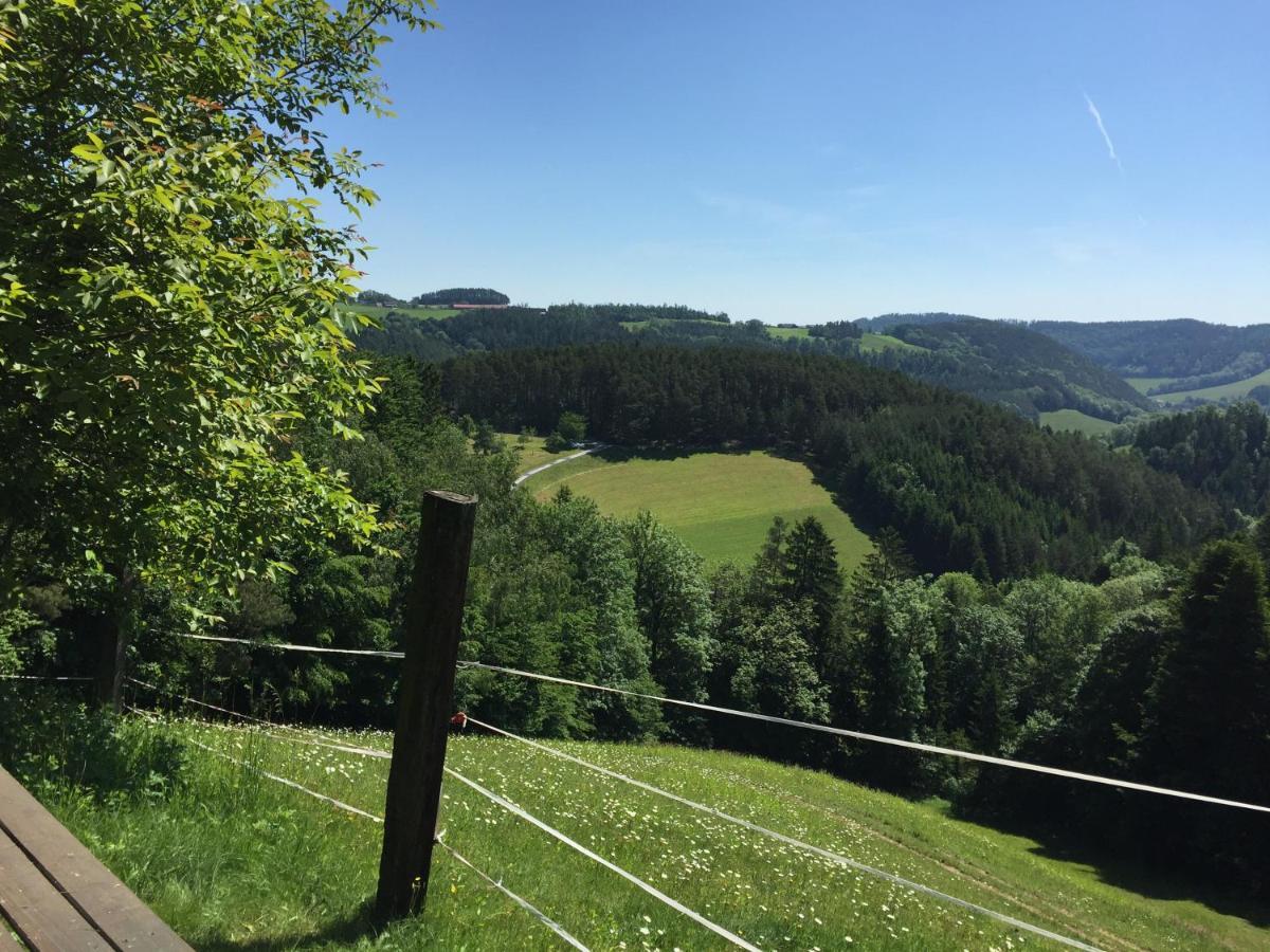 Haflingerhof Luef Alloggio per agriturismo