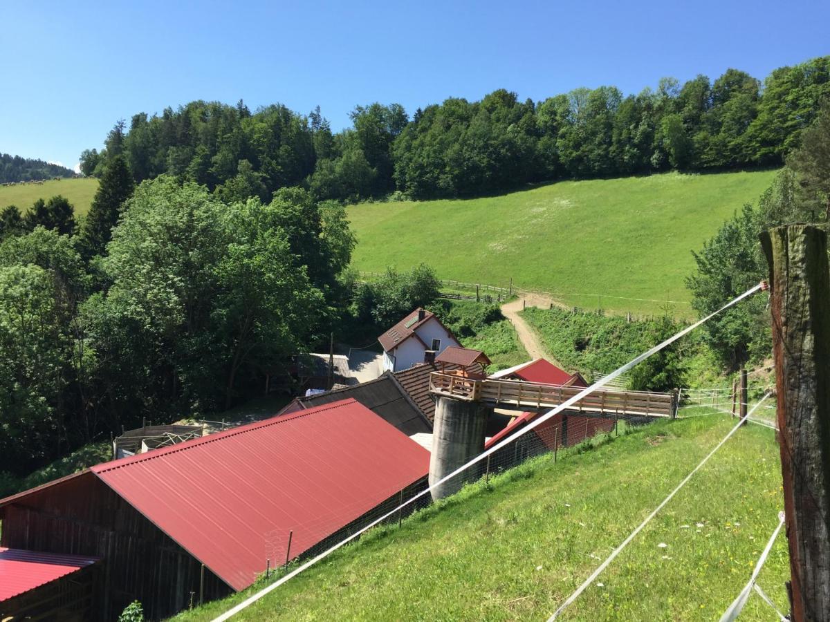 Haflingerhof Luef Séjour à la ferme *