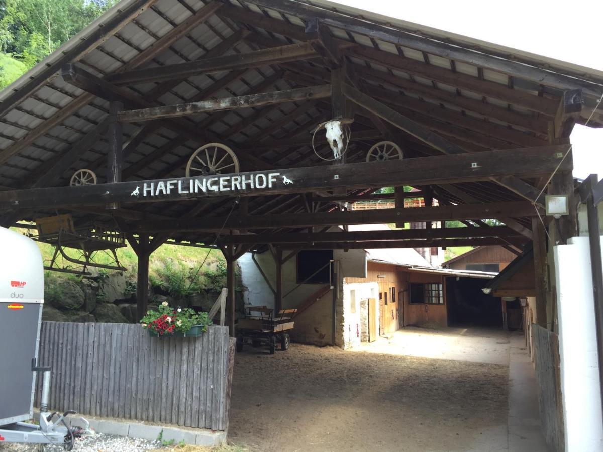 Haflingerhof Luef Bad Schönau