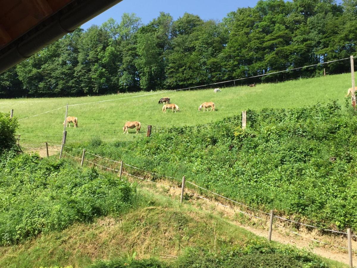 Séjour à la ferme Haflingerhof Luef Bad Schönau