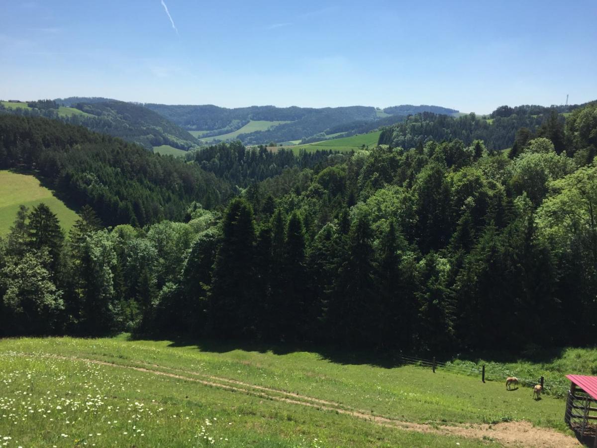Alloggio per agriturismo Haflingerhof Luef *