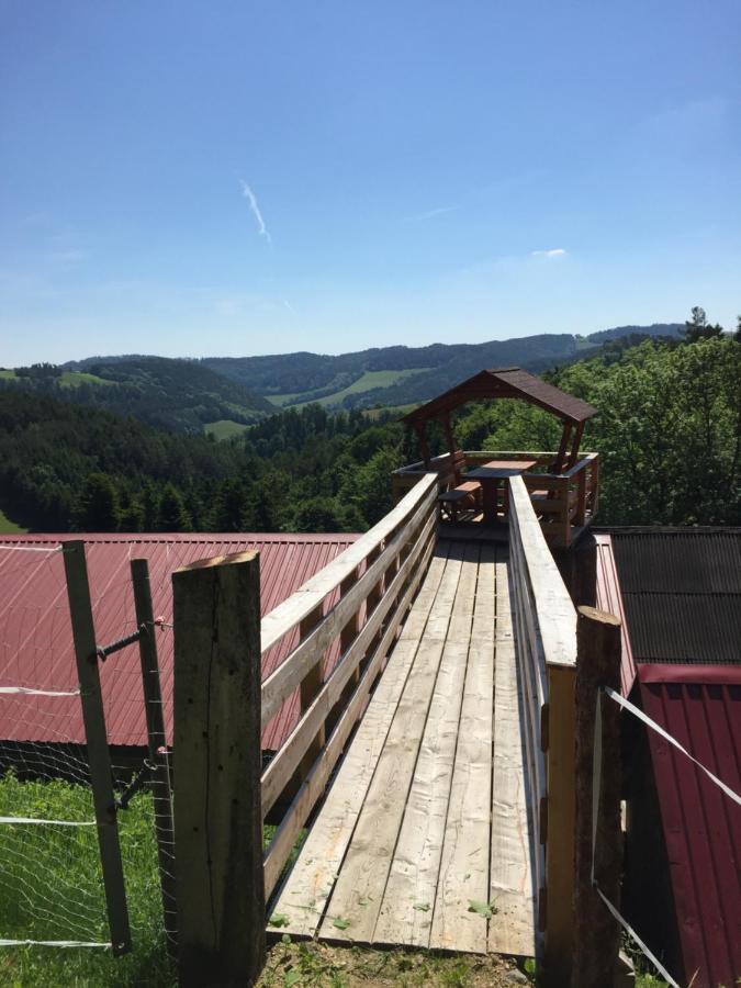 Haflingerhof Luef Séjour à la ferme