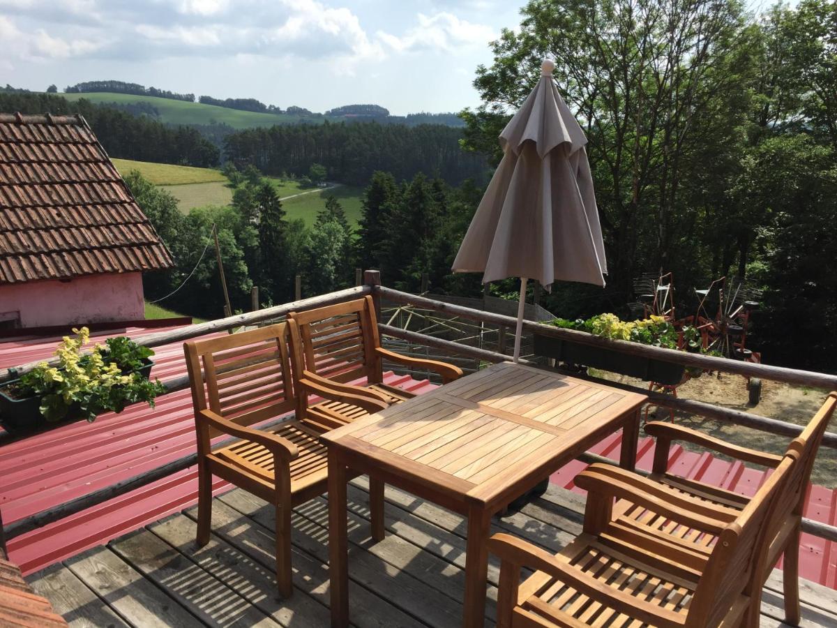 Haflingerhof Luef