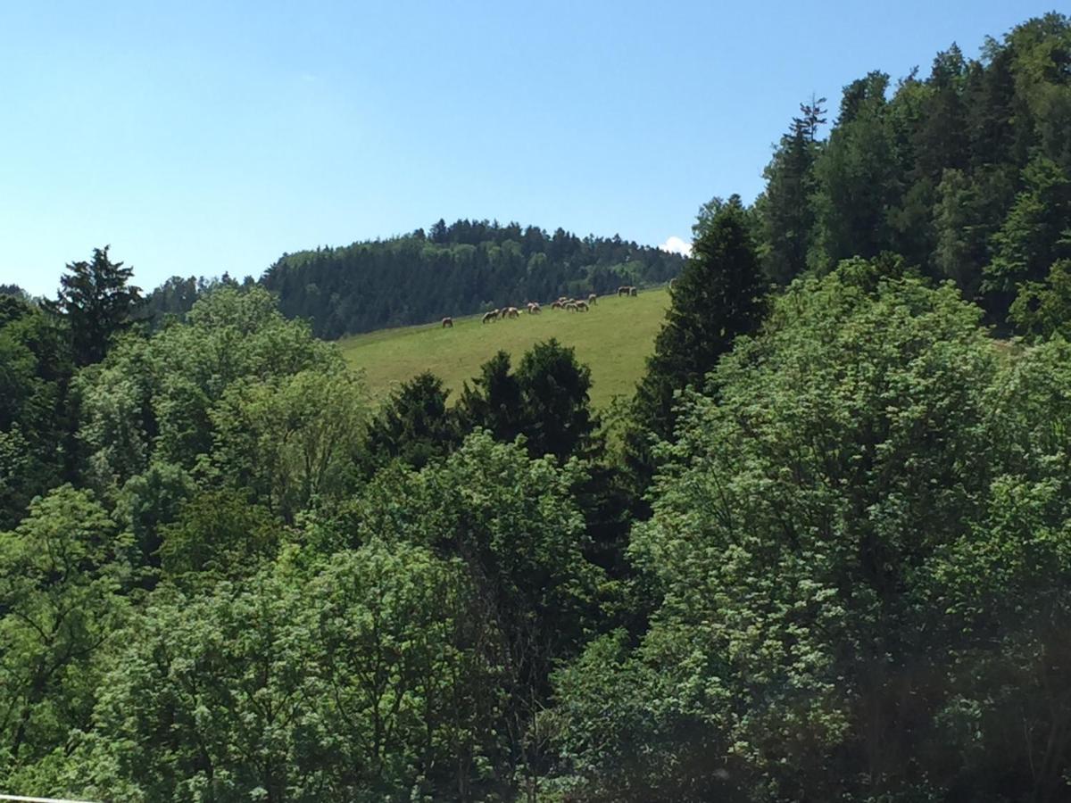 Haflingerhof Luef * Bad Schönau
